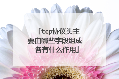 tcp协议头主要由哪些字段组成 各有什么作用