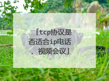 tcp协议是否适合ip电话、视频会议