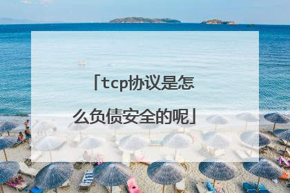 tcp协议是怎么负债安全的呢