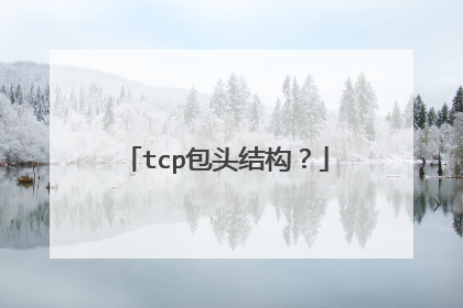 tcp包头结构？