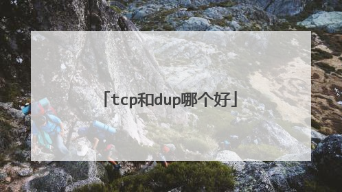tcp和dup哪个好