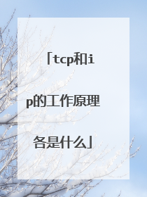 tcp和ip的工作原理各是什么
