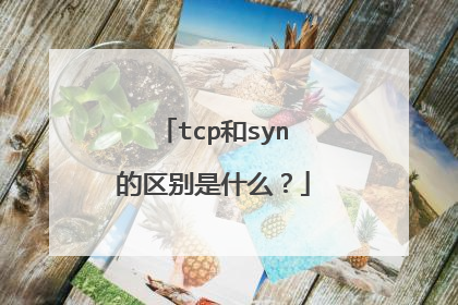 tcp和syn的区别是什么？