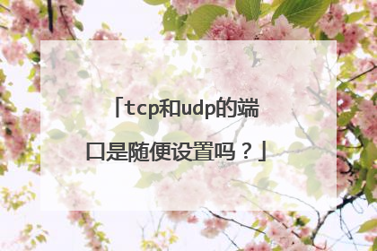 tcp和udp的端口是随便设置吗?