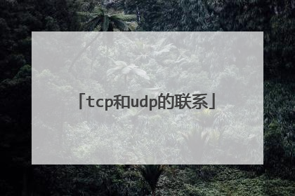 tcp和udp的联系