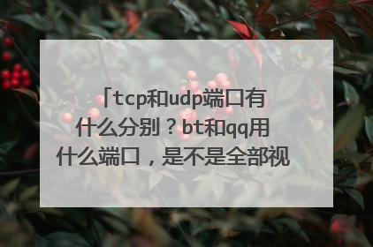 tcp和udp端口有什么分别?bt和qq用什么端口,是不是全部视频对话都使用udp