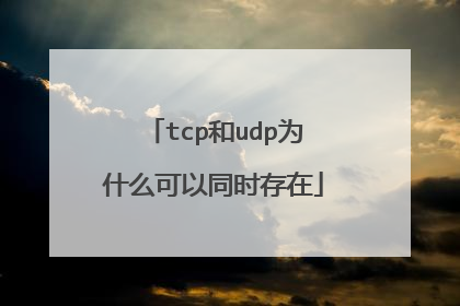 tcp和udp为什么可以同时存在
