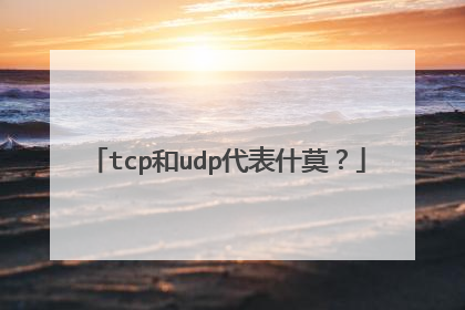 tcp和udp代表什莫？