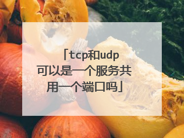 tcp和udp可以是一个服务共用一个端口吗