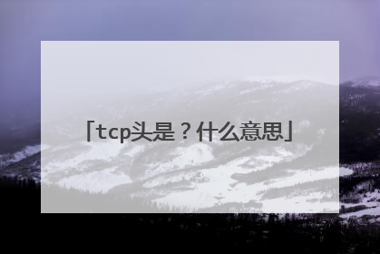 tcp头是？什么意思