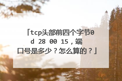 tcp头部前四个字节0d 28 00 15,端口号是多少?怎么算的?