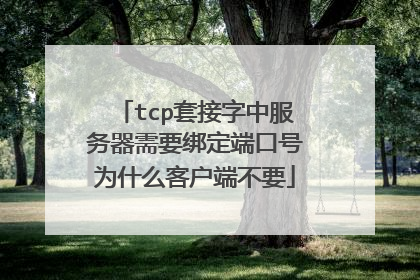 tcp套接字中服务器需要绑定端口号为什么客户端不要