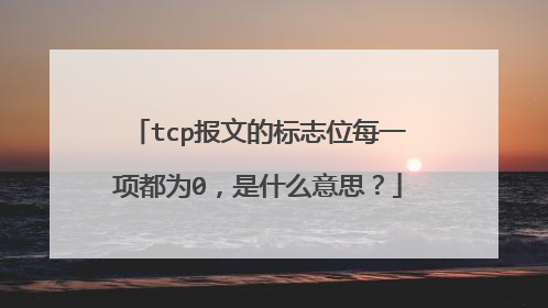 tcp报文的标志位每一项都为0，是什么意思？