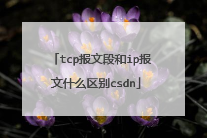 tcp报文段和ip报文什么区别csdn