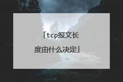 tcp报文长度由什么决定