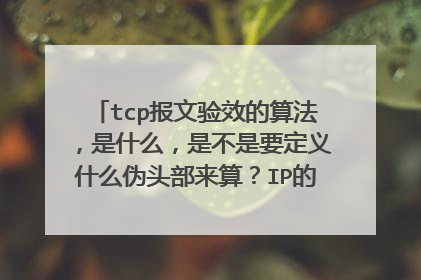 tcp报文验效的算法，是什么，是不是要定义什么伪头部来算？IP的，和ICMP的我晓得