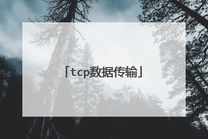 tcp数据传输