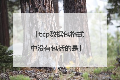 tcp数据包格式中没有包括的是