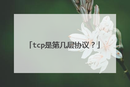 tcp是第几层协议？
