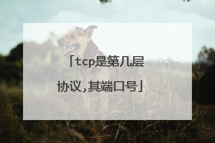 tcp是第几层协议,其端口号