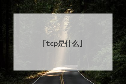tcp是什么