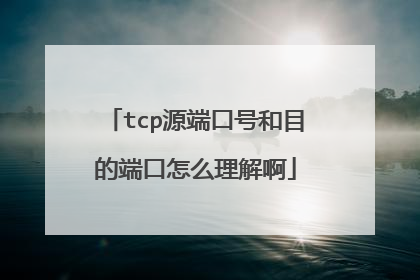 tcp源端口号和目的端口怎么理解啊
