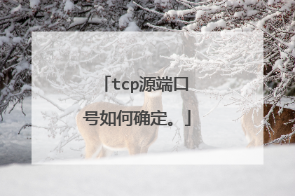 tcp源端口号如何确定。