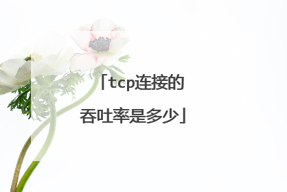 tcp连接的吞吐率是多少