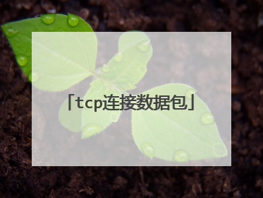 tcp连接数据包