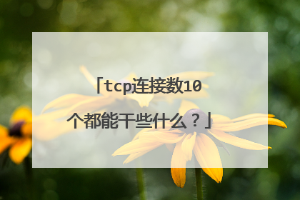 tcp连接数10个都能干些什么？