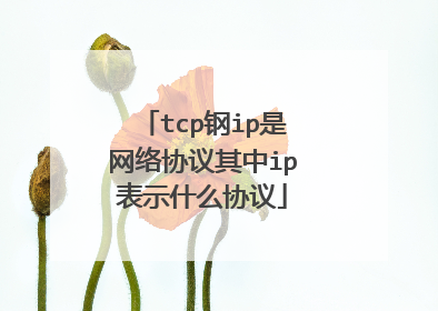 tcp钢ip是网络协议其中ip表示什么协议
