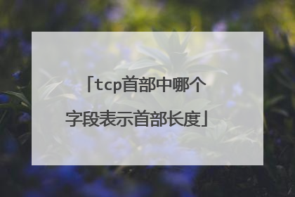 tcp首部中哪个字段表示首部长度