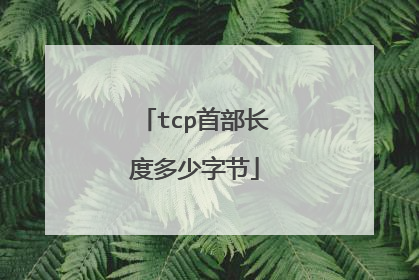 tcp首部长度多少字节