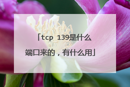 tcp 139是什么端口来的，有什么用