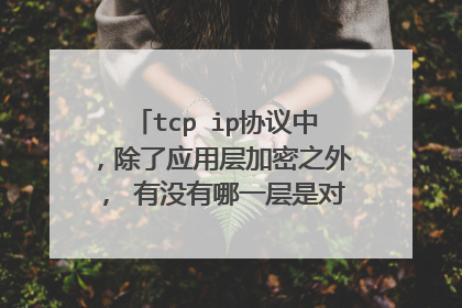tcp ip协议中，除了应用层加密之外， 有没有哪一层是对我们发送的报文进行加密的，否则我们的通信不是可以