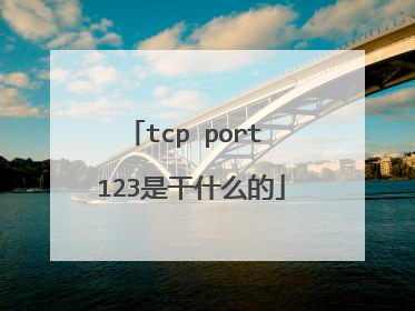 tcp port 123是干什么的
