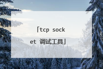 tcp socket 调试工具