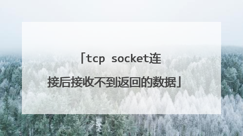 tcp socket连接后接收不到返回的数据