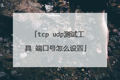 tcp udp测试工具 端口号怎么设置