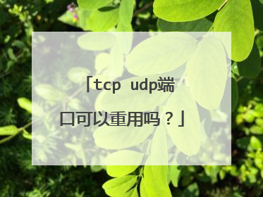 tcp udp端口可以重用吗？