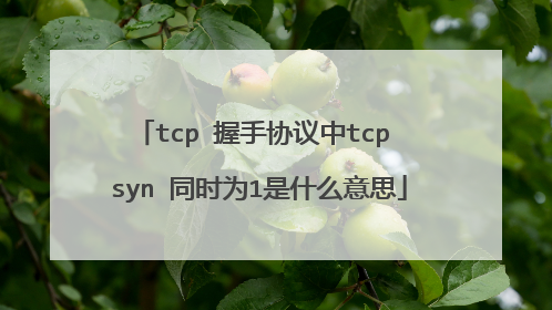 tcp 握手协议中tcp syn 同时为1是什么意思