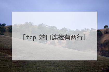tcp 端口连接有两行
