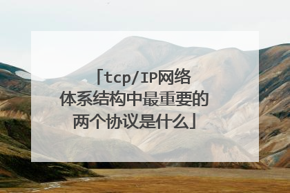 tcp/IP网络体系结构中最重要的两个协议是什么