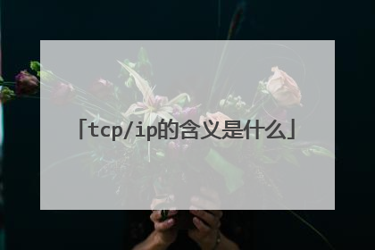 tcp/ip的含义是什么