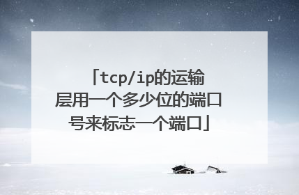 tcp/ip的运输层用一个多少位的端口号来标志一个端口