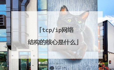 tcp/ip网络结构的核心是什么