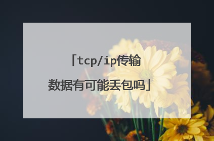 tcp/ip传输数据有可能丢包吗