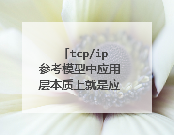 tcp/ip参考模型中应用层本质上就是应用程序本身