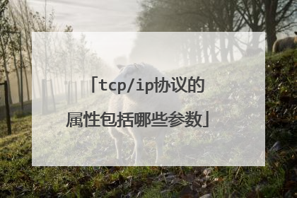 tcp/ip协议的属性包括哪些参数