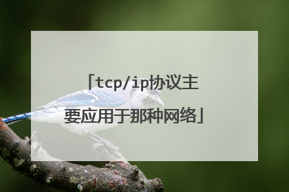 tcp/ip协议主要应用于那种网络